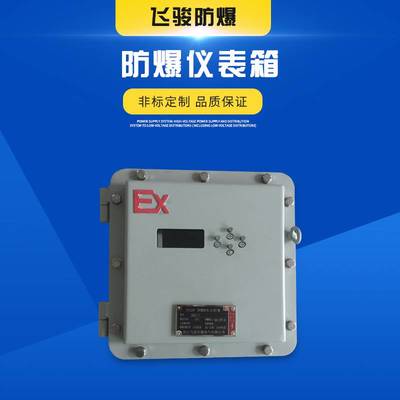 厂家直销BXK系列防爆控制箱 防爆仪表箱 碳钢材质非标定制