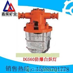 供应DGS60防爆白炽灯 DGS60防爆白炽灯_机械及行业设备_世界工厂网中国产品信息库